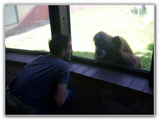 Stuart & Friend at Perth Zoo Feb 16th 2007